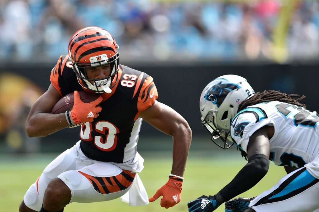 Bengals vs. Panthers