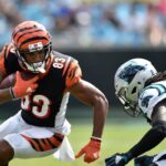 Bengals vs. Panthers