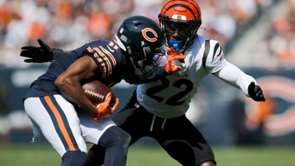 Bengals vs Bears nfl